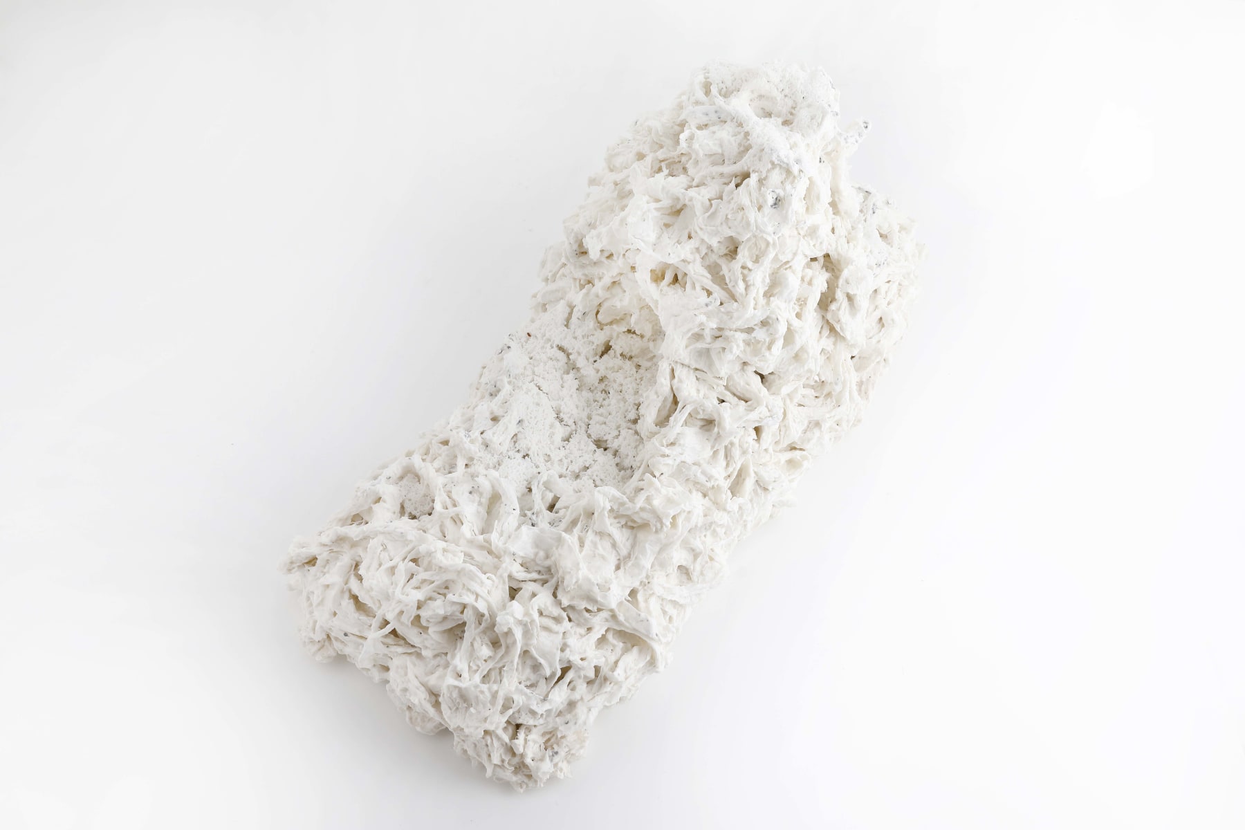 Savia Mahajan, Liminal entity 4, 2016