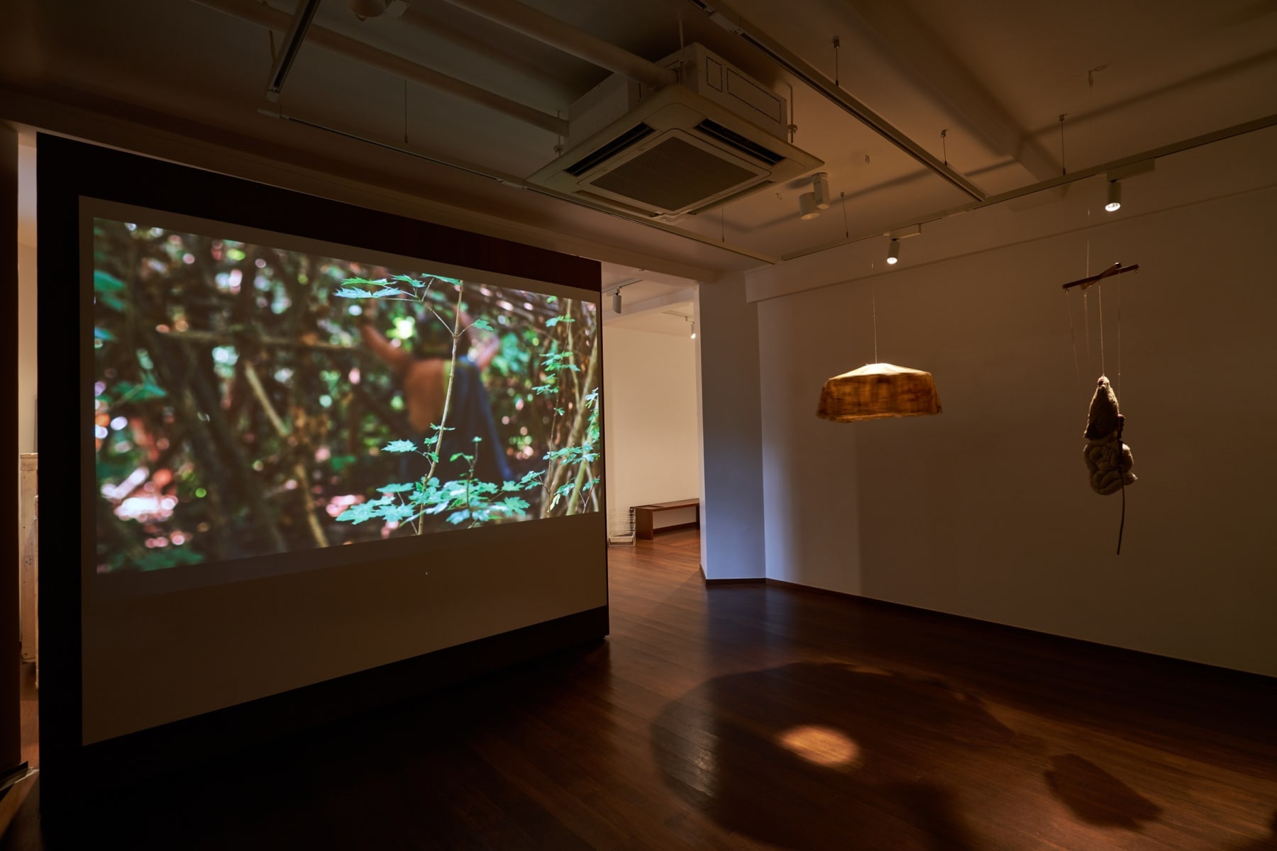 Rah Naqvi, Arawelo, 2020