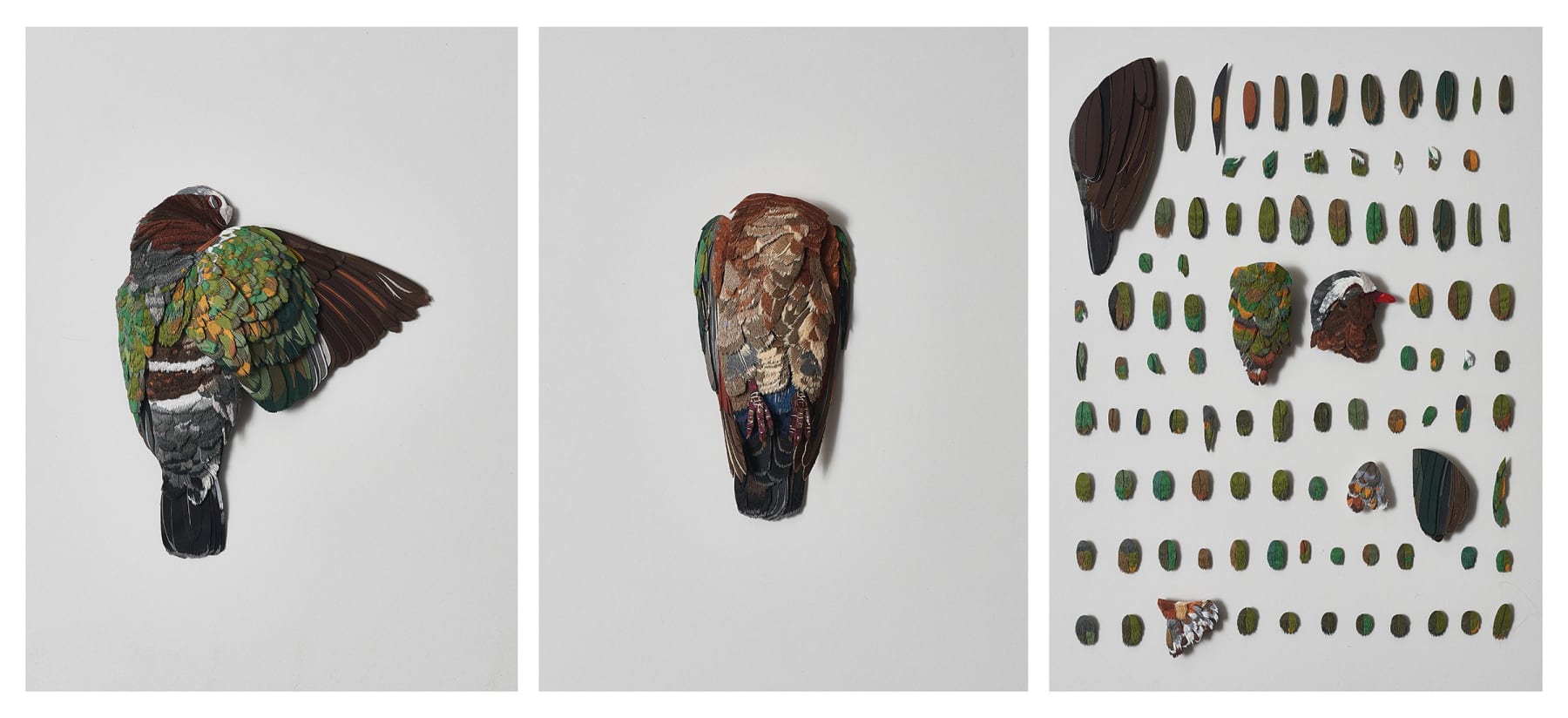 Nibha Sikander, Emerald Dove, 2021