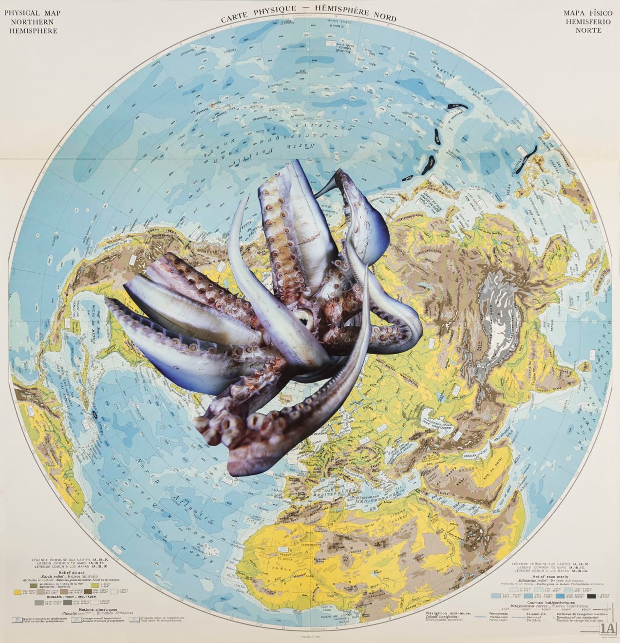 Apnavi Makanji, APPROPRIATION DISINFORMATION – NATURE AND THE BODY POLITIC Series: ΗUMBOLDT, 2024