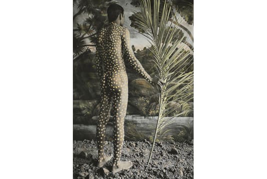 Waswo X Waswo, Tribal Dreams, 2008