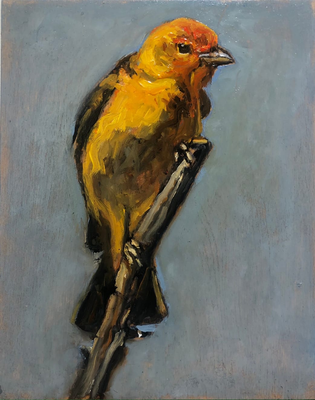 Ed Musante, Western Tanager III, 2021