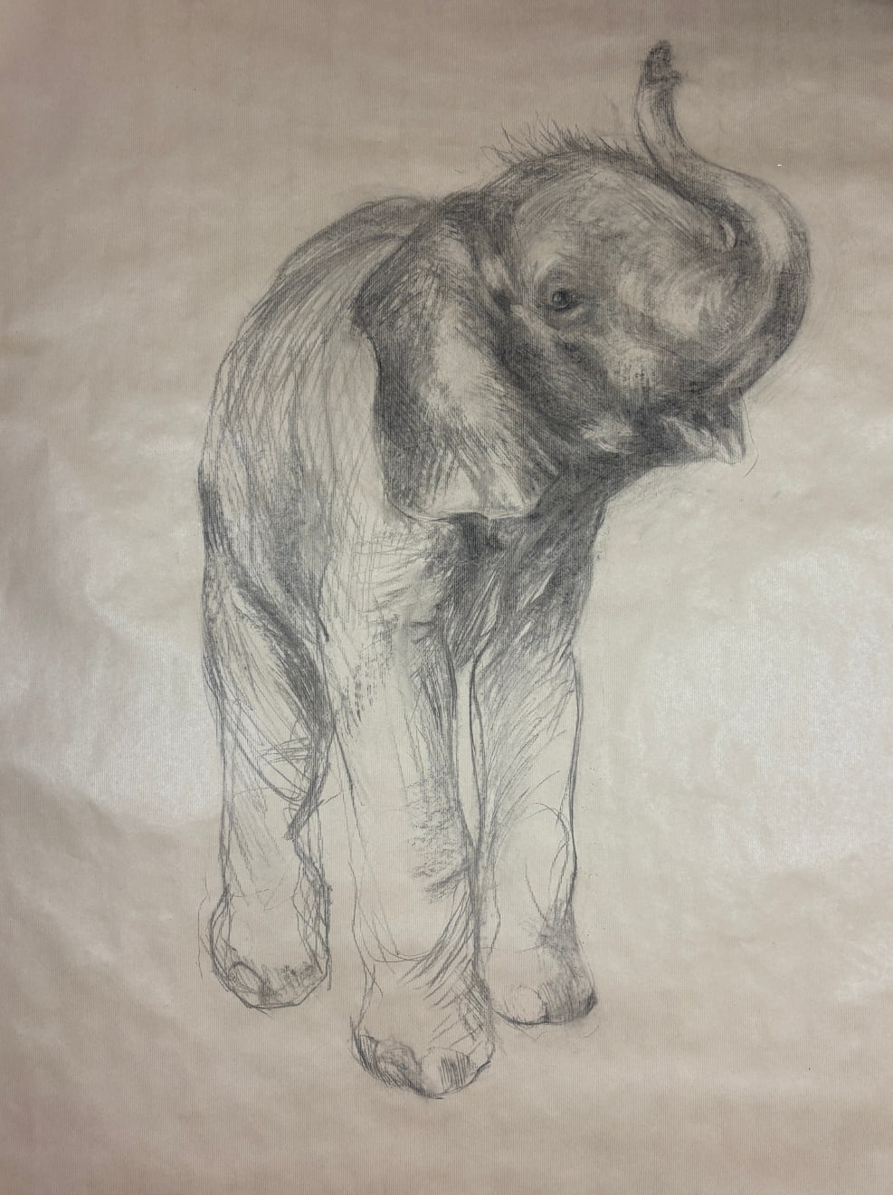 Nicola Hicks, Elephant, 2025