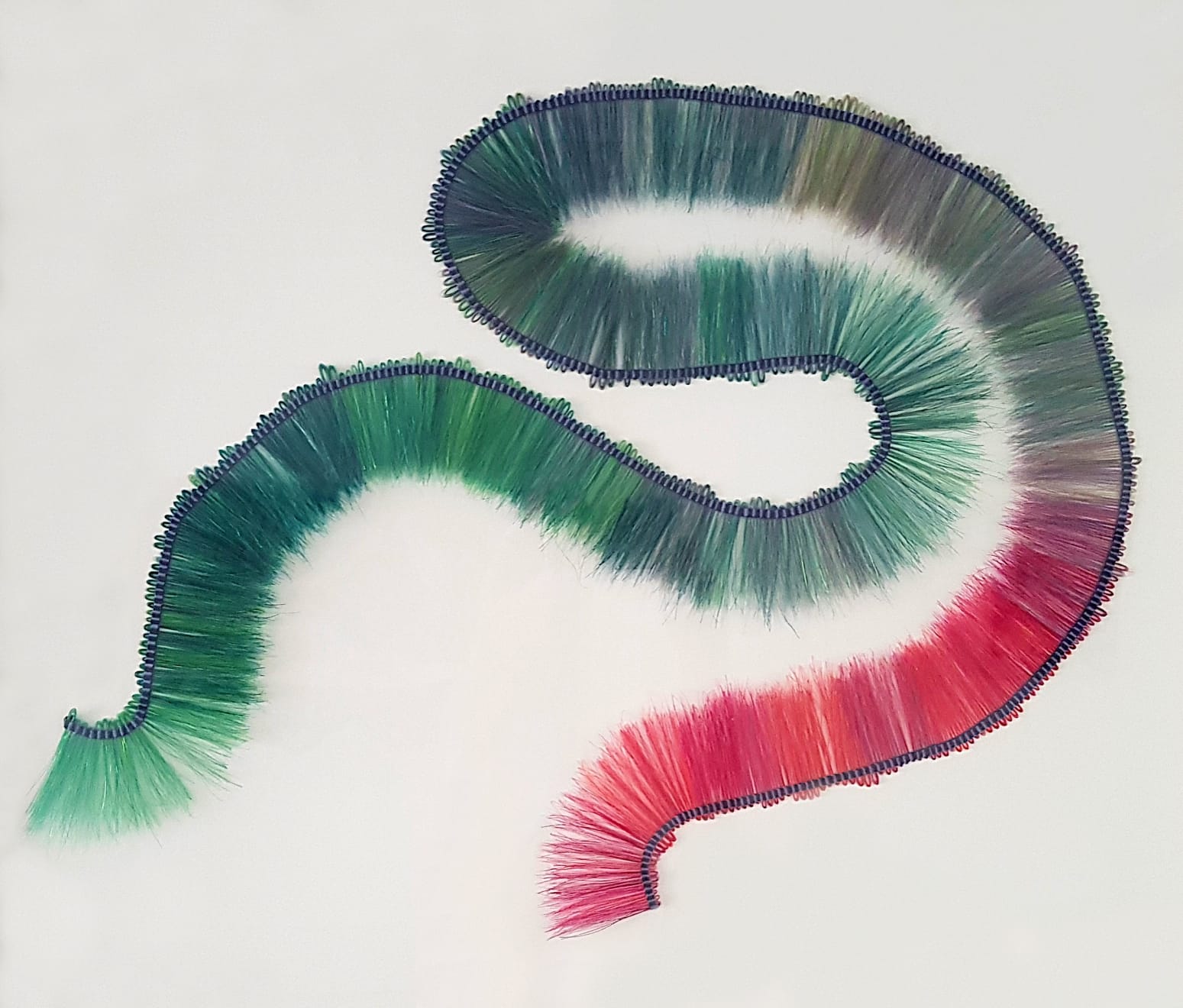 Marianne Kemp, Tody, 2022