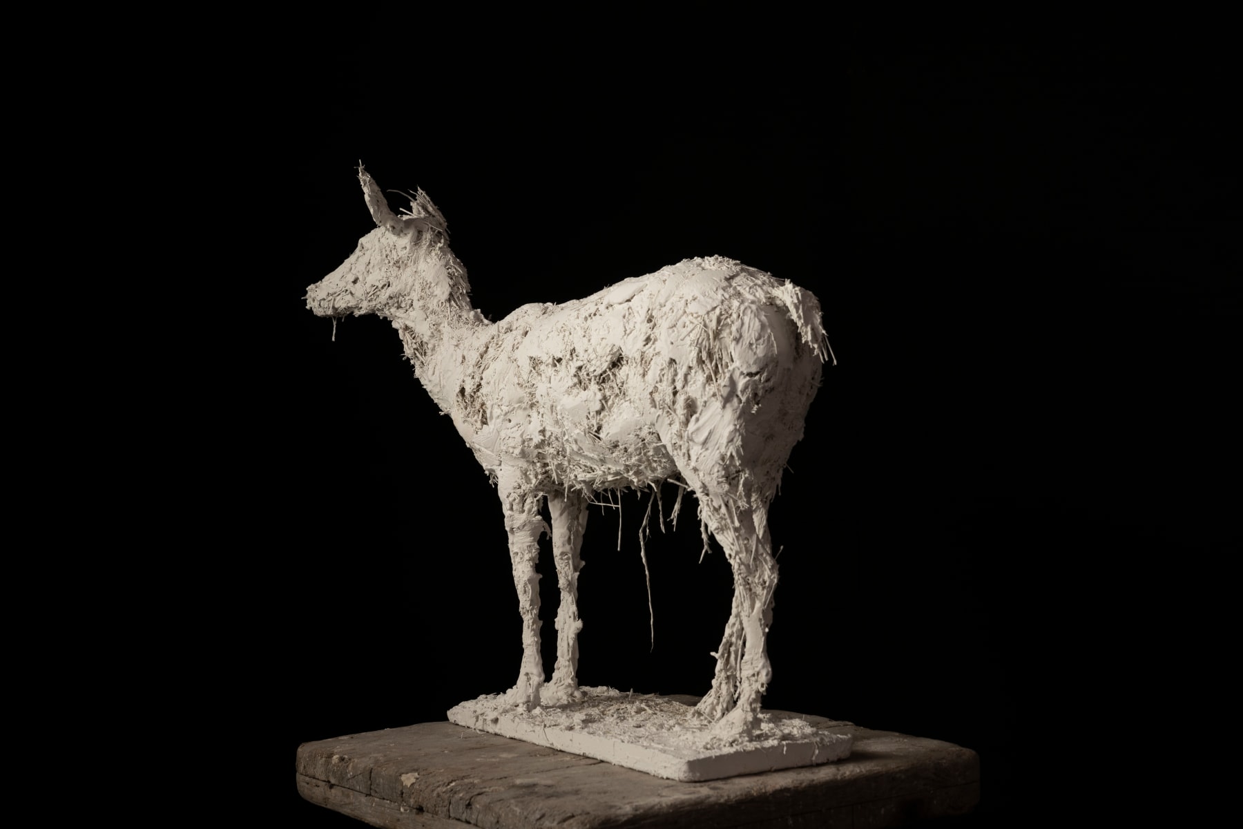 Nicola Hicks, Little Dear, 2023