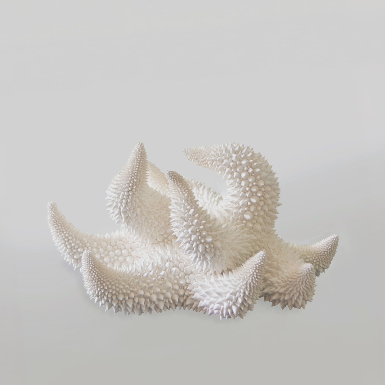 Xawery Wolski, Extinct, 2019