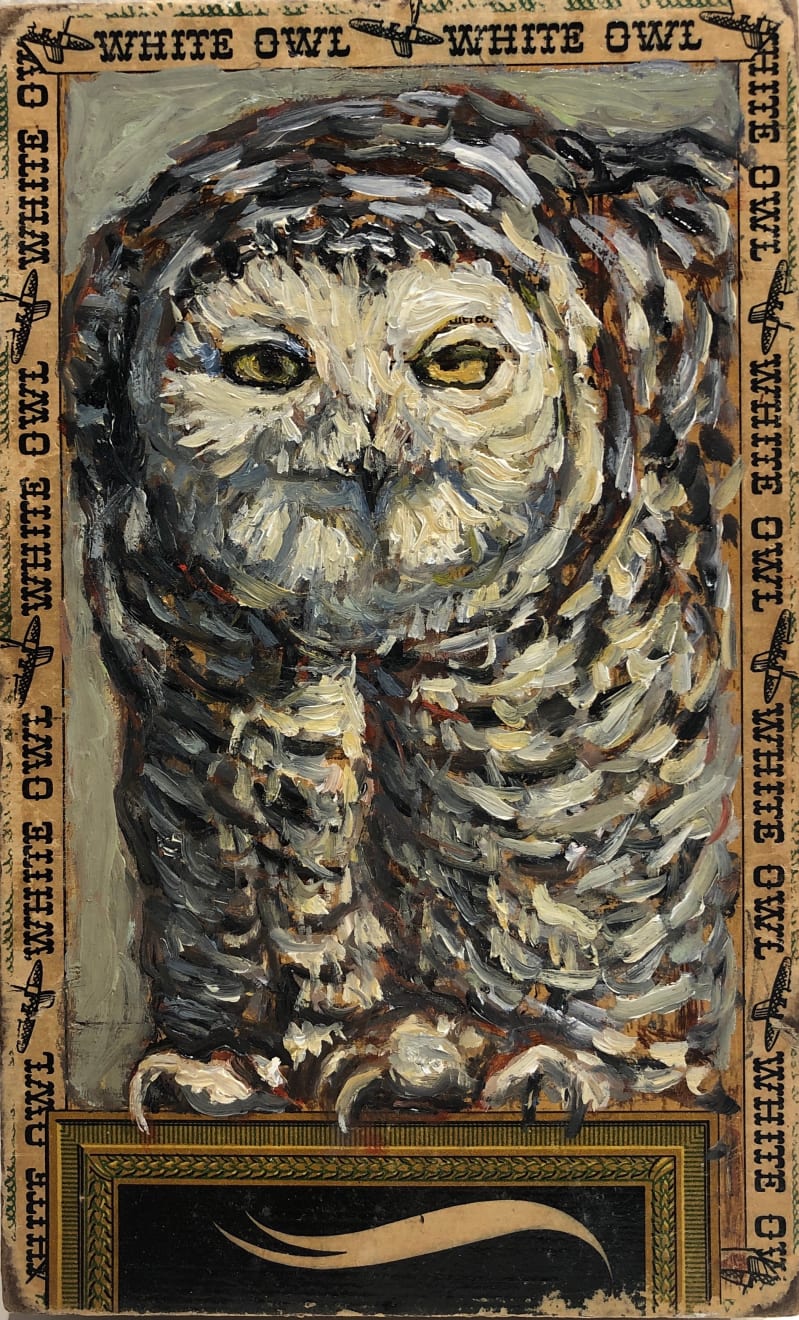 Ed Musante, Snowy Owl/ White Owl, 2021