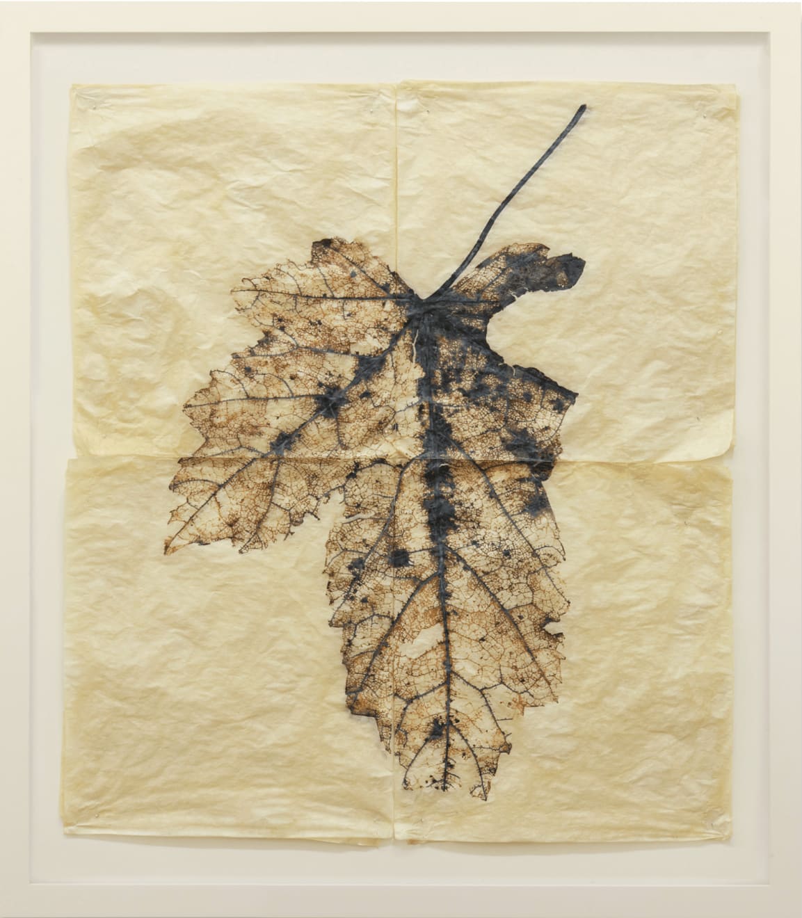 Doug and Mike Starn, Black Pulse 3, AP2, 2000-2015