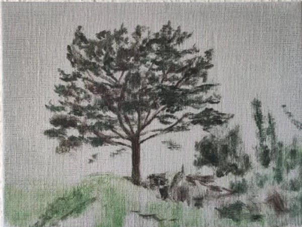 Susanne Johansson, Tidstecken (Vårdträdet) / Signs of Time (The Warden Tree), 2022