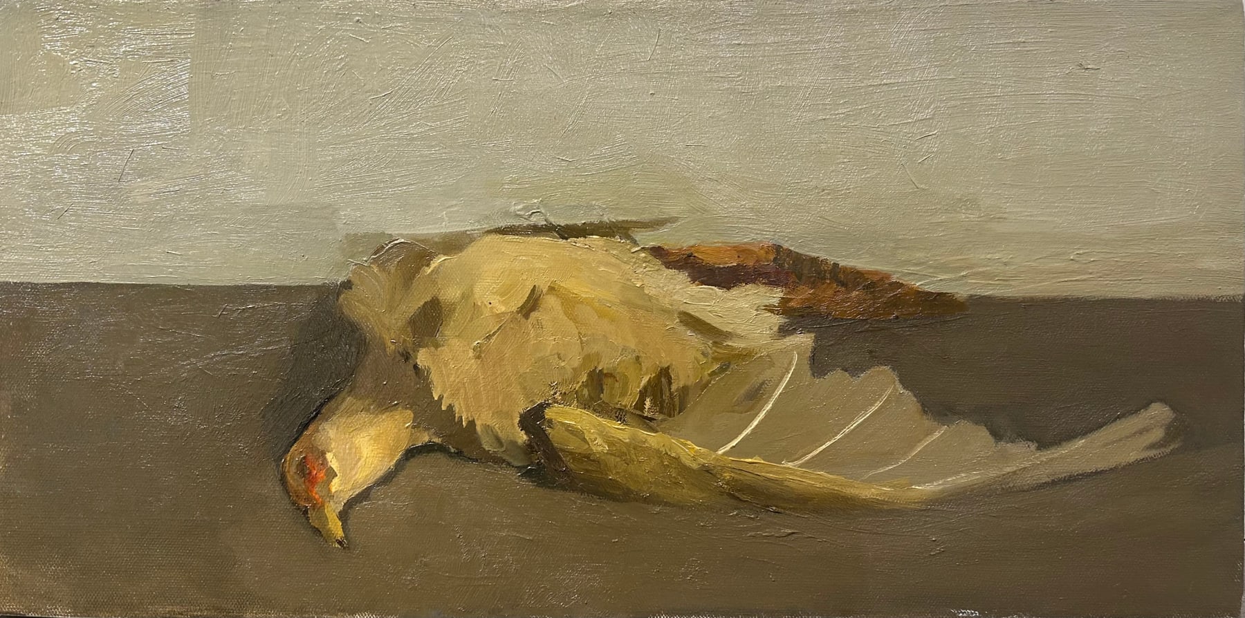 Adrian Nivola, Pheasant Still Life, 2017