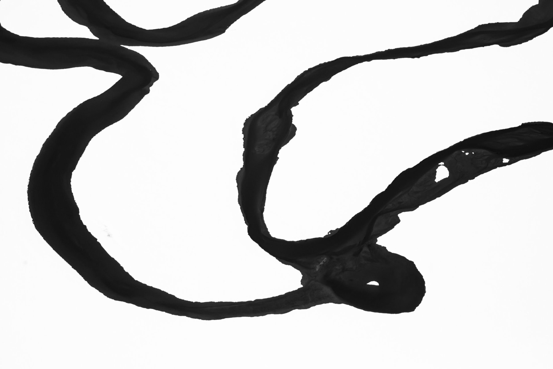 Tuck Fauntleroy, Confluence VI, 2024