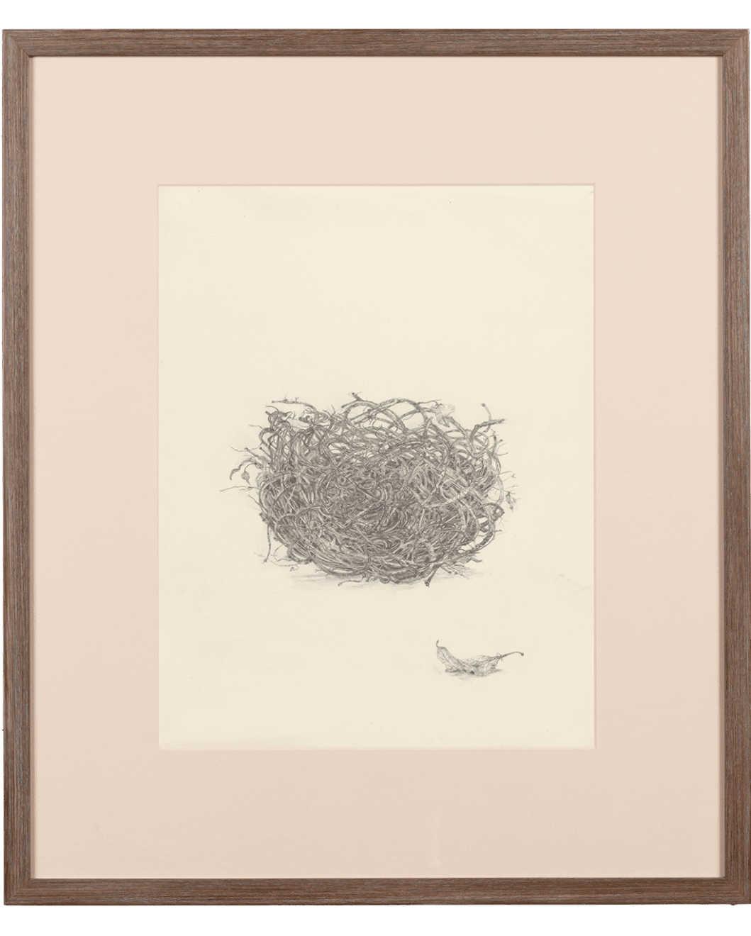 Fiona Waterstreet, Untitled