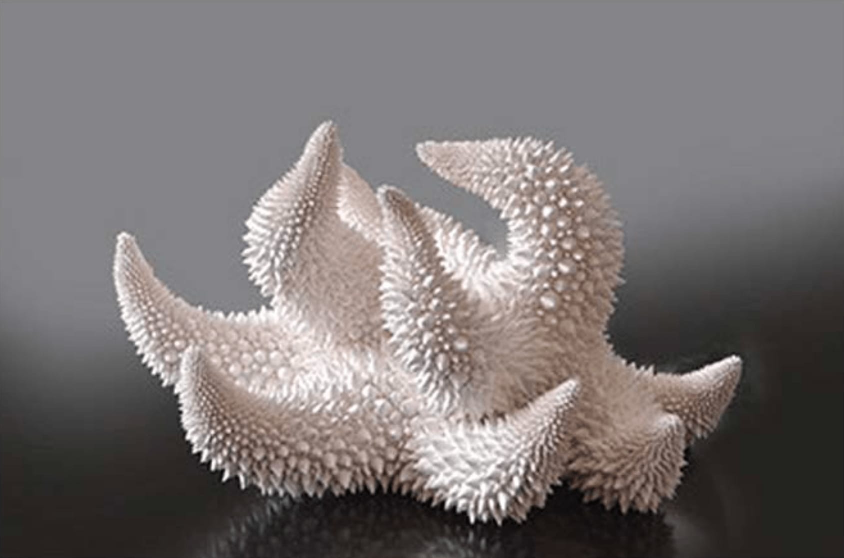 Xawery Wolski, Extinct, 2019