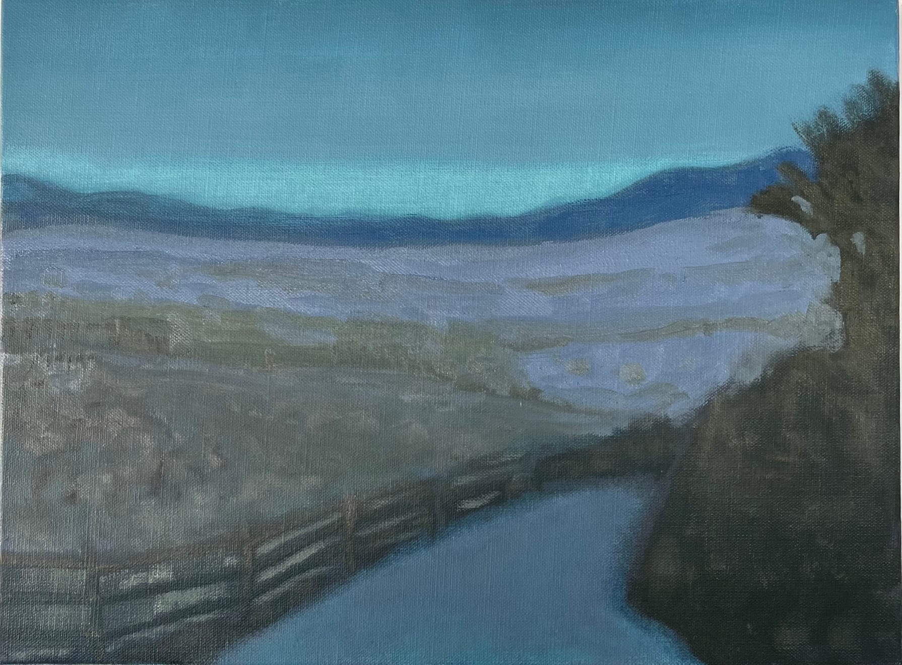 Mike Piggott, A View from Signal Mountain, 2020-2021