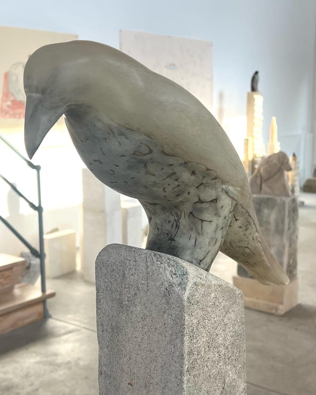 Jane Rosen, Albino Raven, 2022