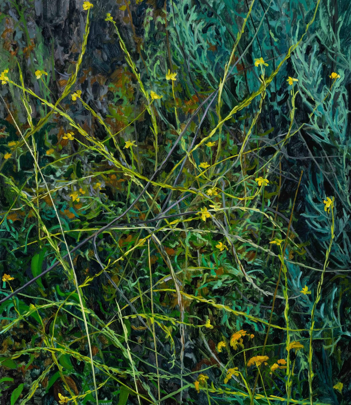 Claire Sherman, Wildflowers, 2025