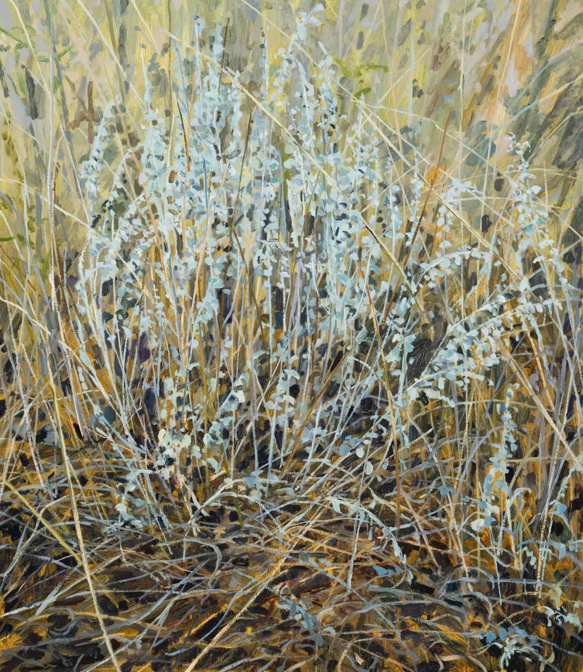 Claire Sherman, Sagebrush, 2023
