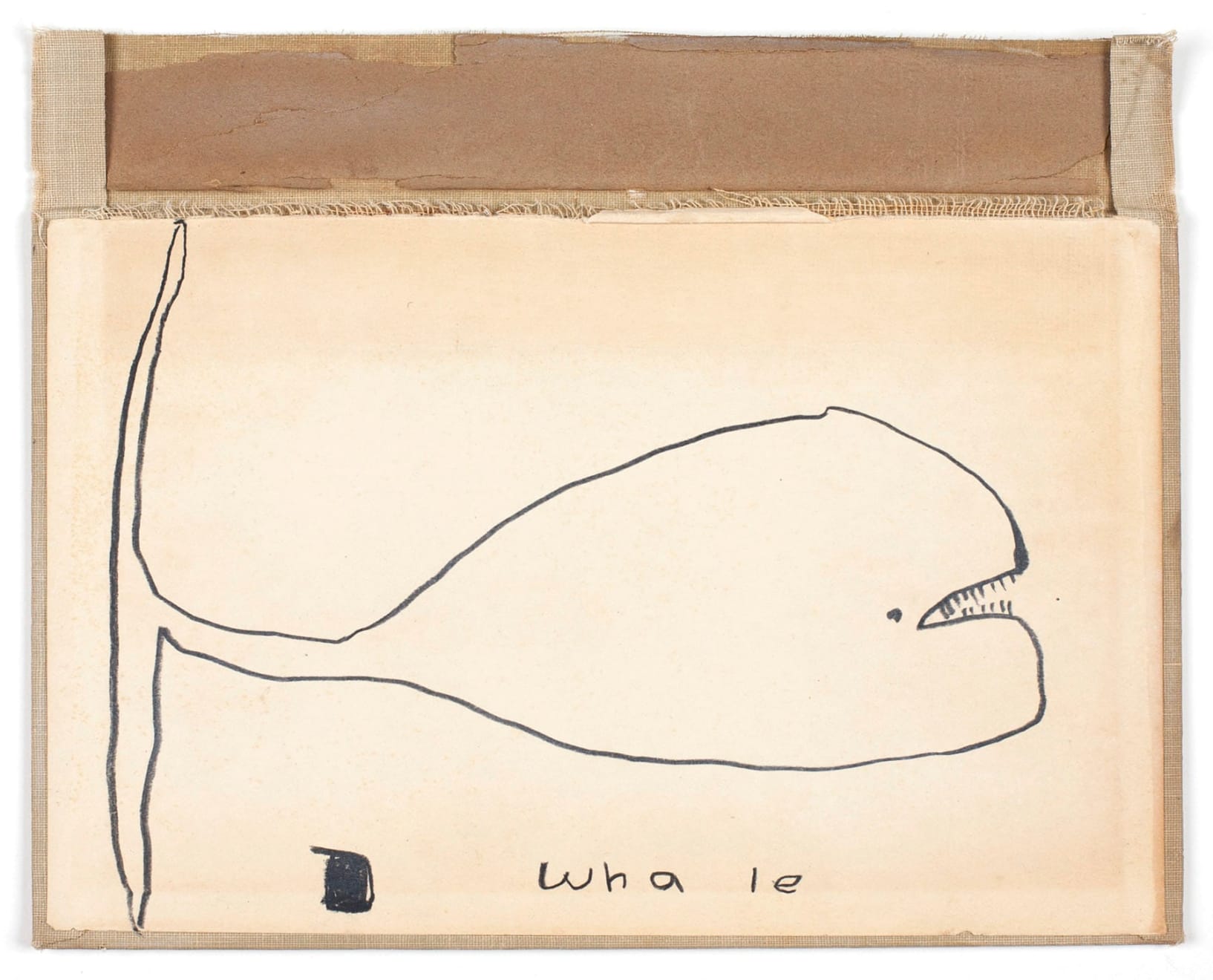 W. Tucker, wha le, 2013