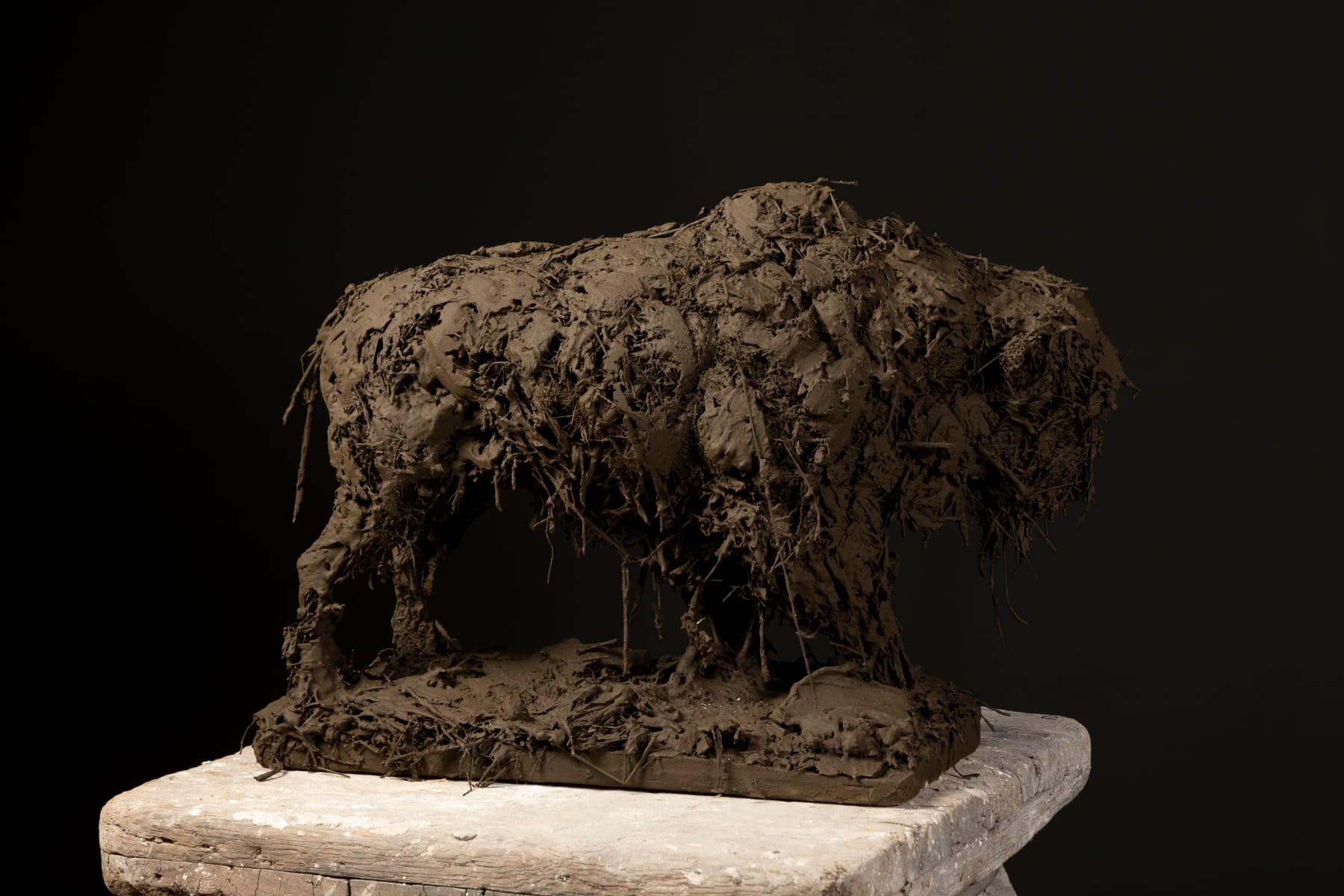 Nicola Hicks, Bison, 2023