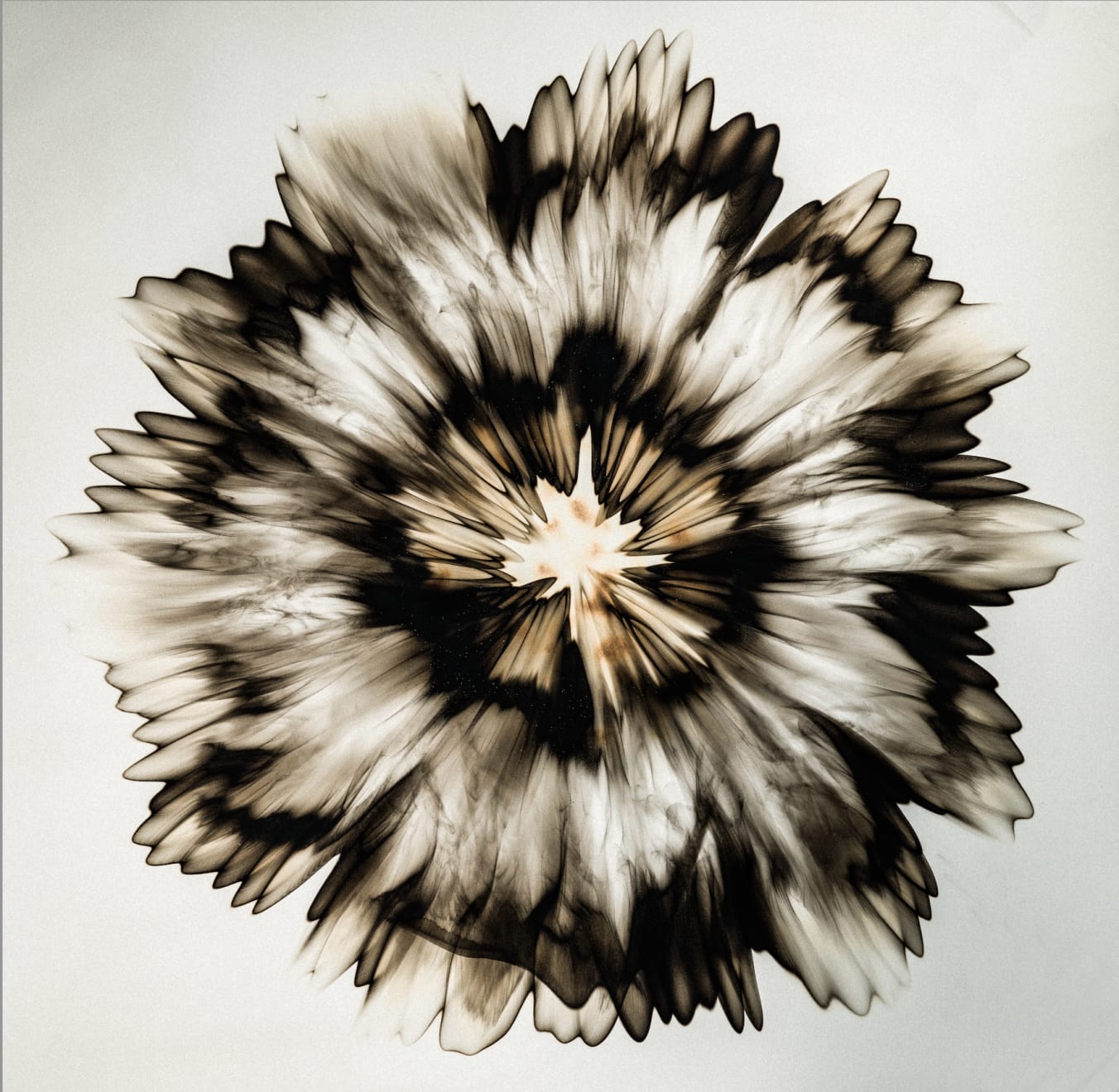 Dennis Lee Mitchell, Larned, 2025