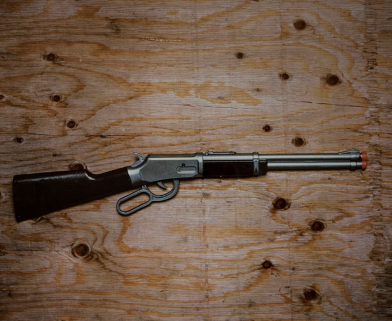 Kristina Loggia, Shot Gun, edition 1 of 2, 2014