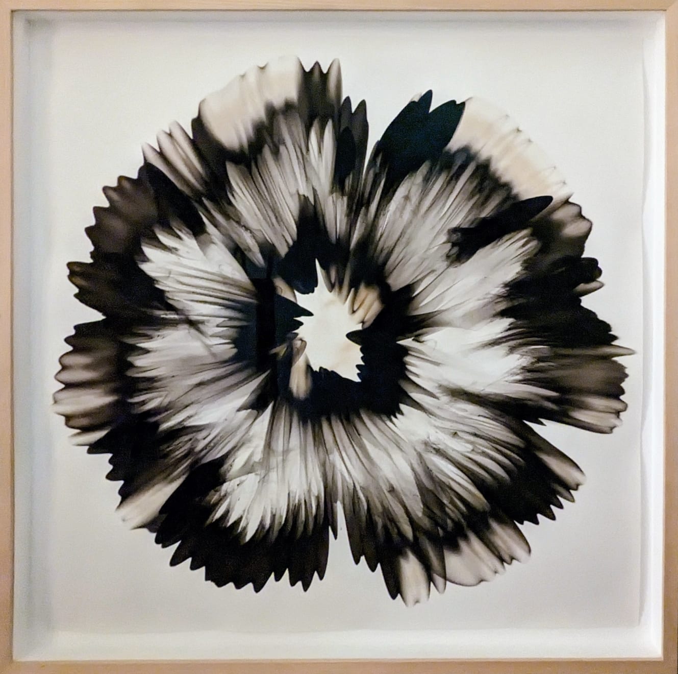 Dennis Lee Mitchell, Sketch Series #14, 2017