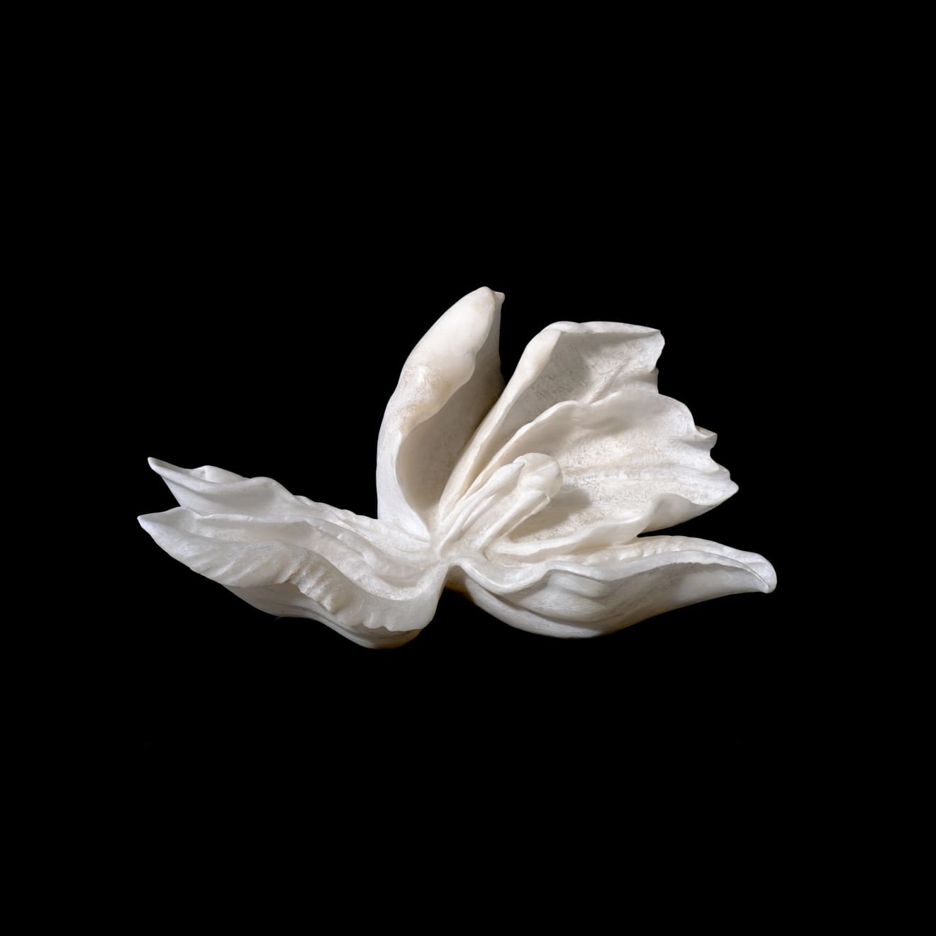 BibiMichèle, Permanent Transience, 2023