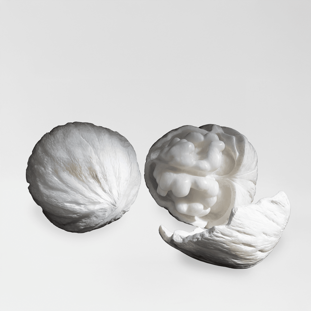 BibiMichèle, Walnut, 2023