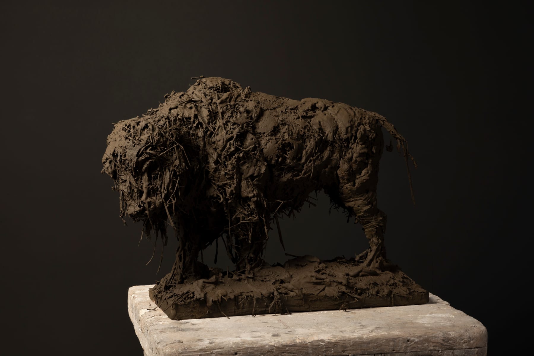 Nicola Hicks, Bison, 2023
