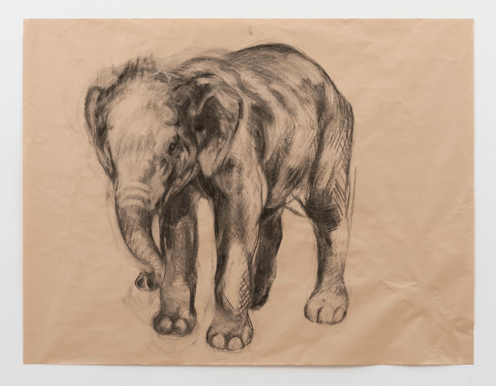 Nicola Hicks, Baby Elephant, 2021