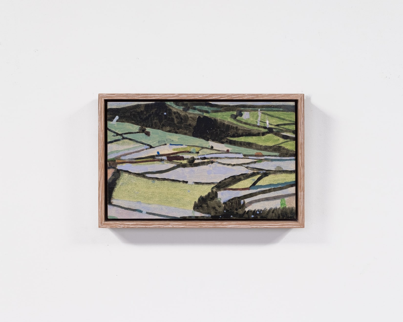 David Abbott, Narcissus and Violets and Yellow Crocus, 2024