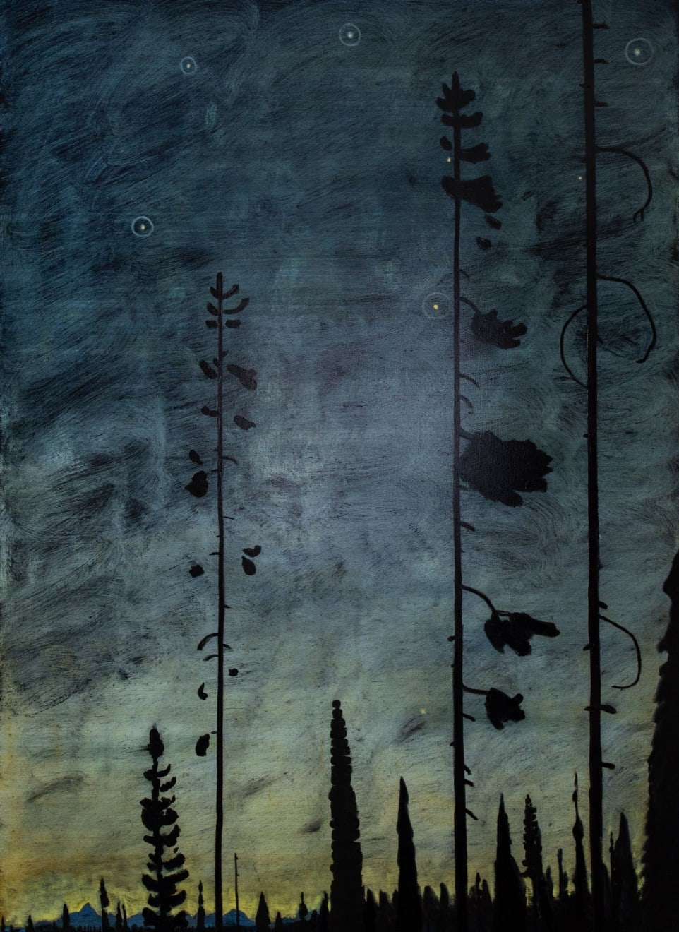 Mike Piggott, Stars in the Pines, 2018