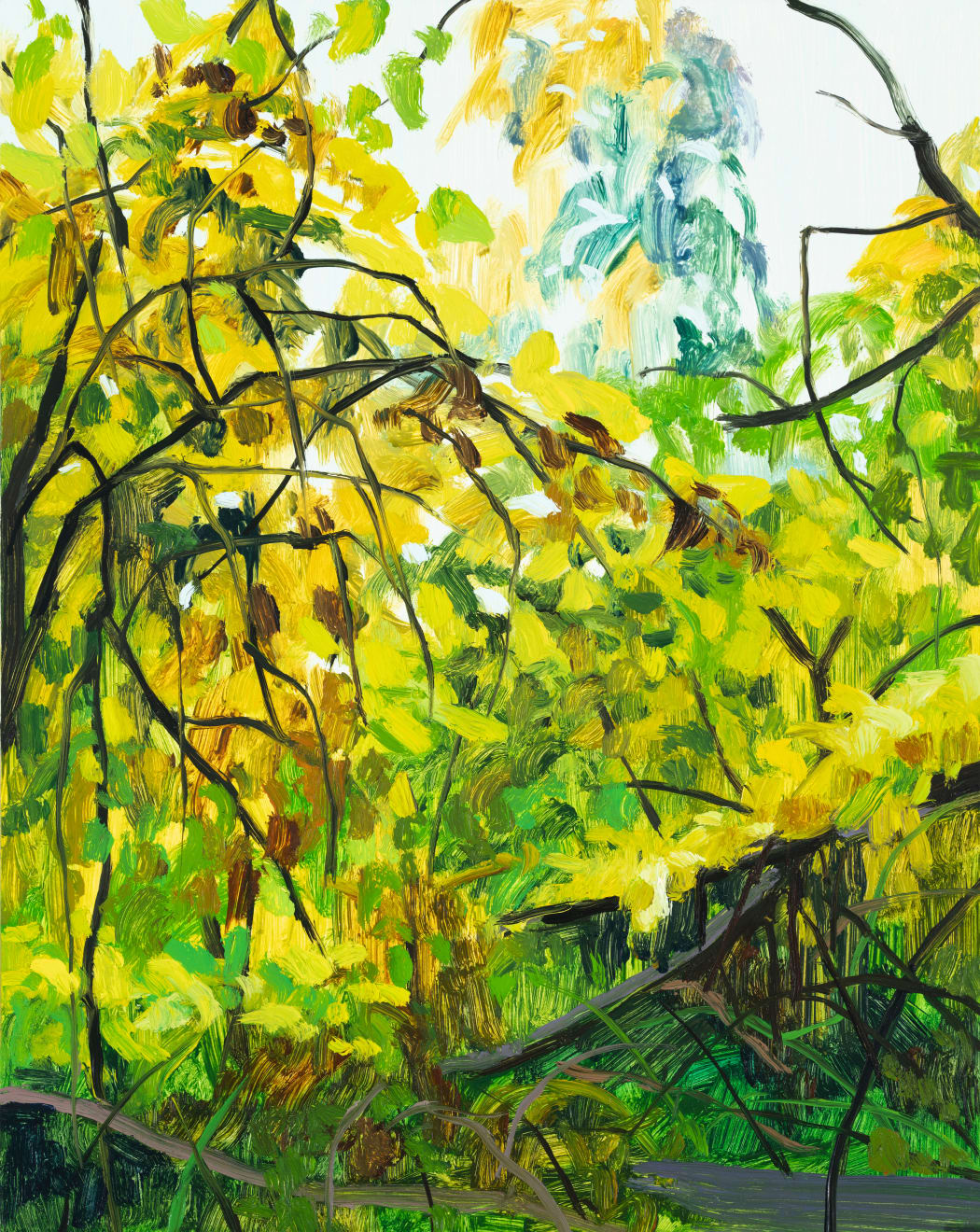 Claire Sherman, Trees, 2021