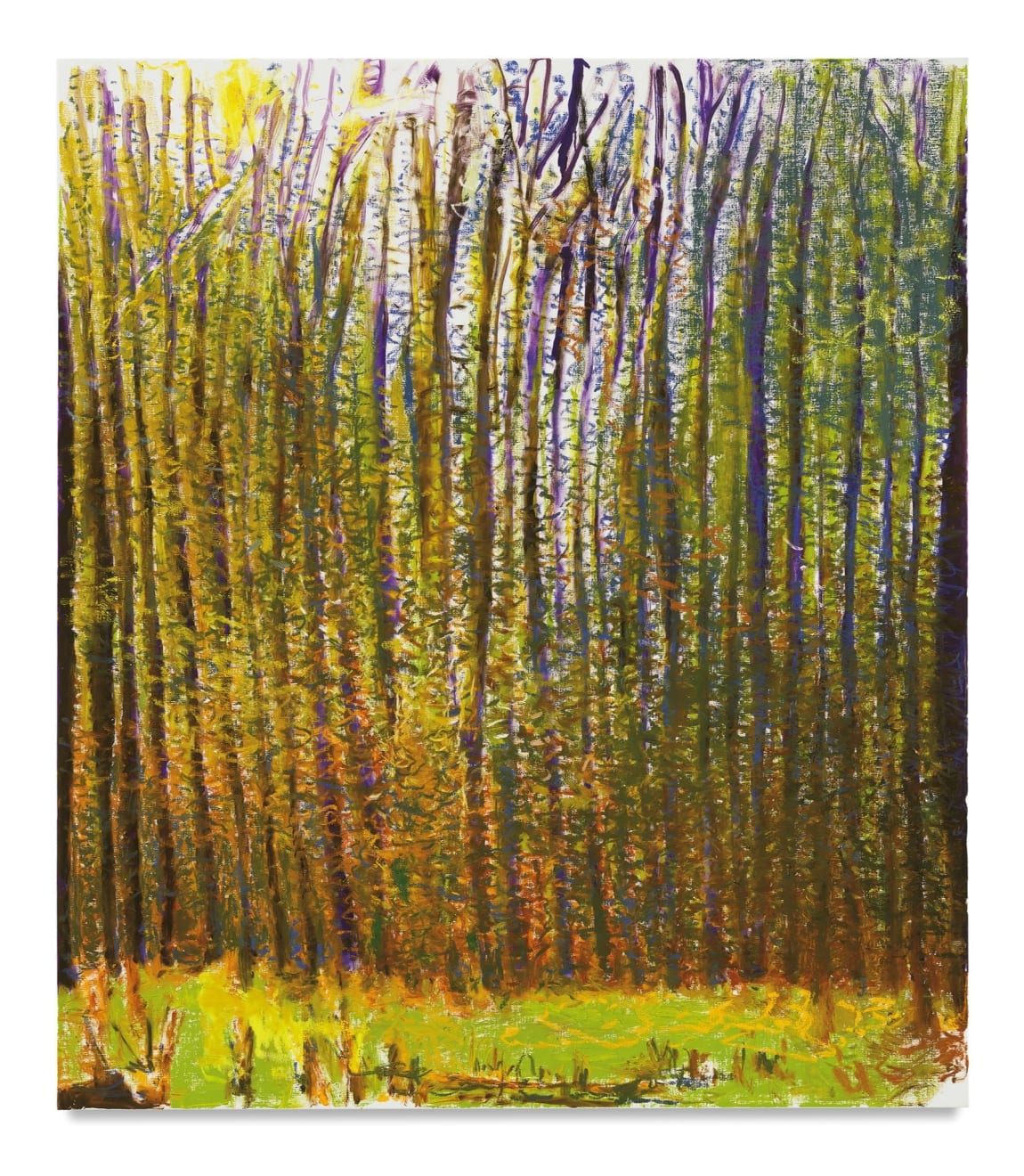 Wolf Kahn, Summer Light Caught in the Woods, 2017