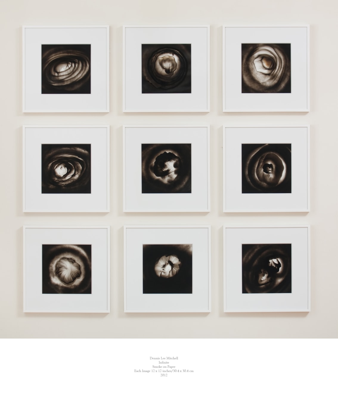 Dennis Lee Mitchell, Infinite, 2012