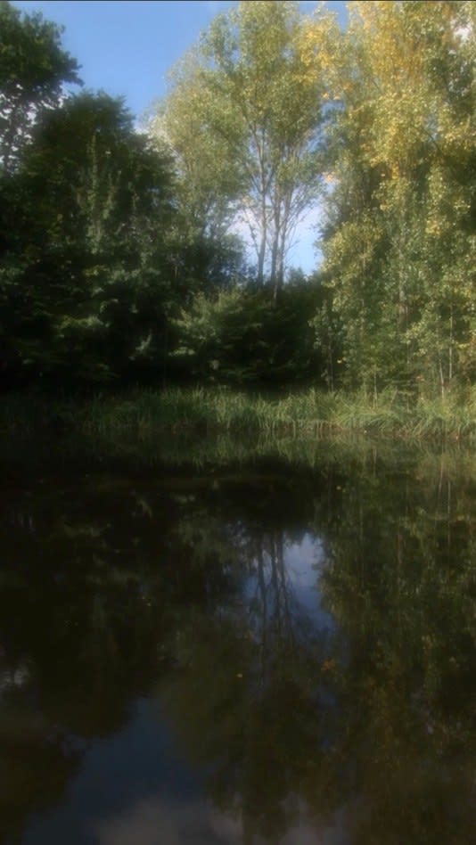 Jeffrey Blondes, Etang de Pezières III : 52 Hour Film, ed. 7/7, 2015