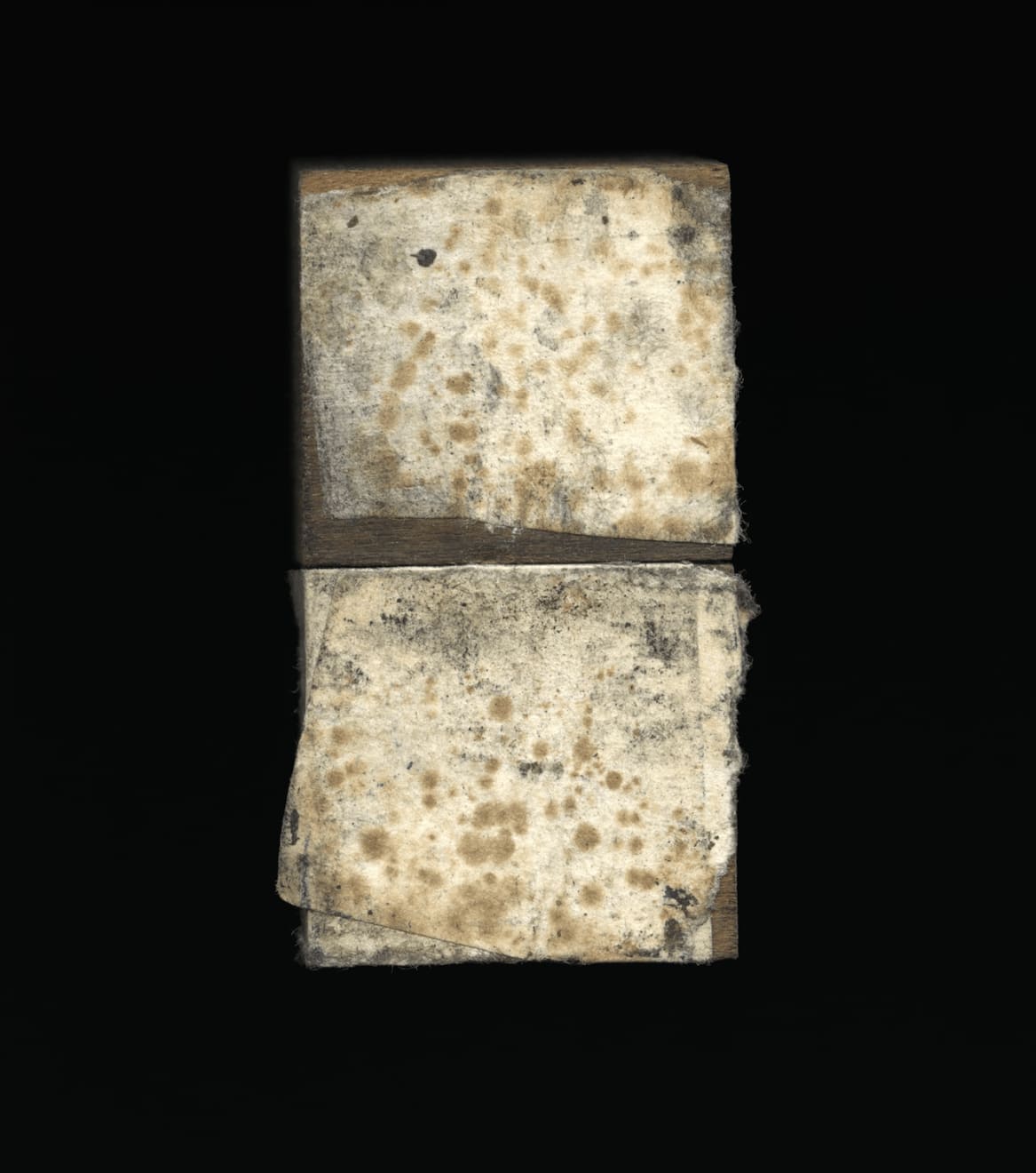 Richard Fleischner, Untitled #855, ed. 1/8, 2021