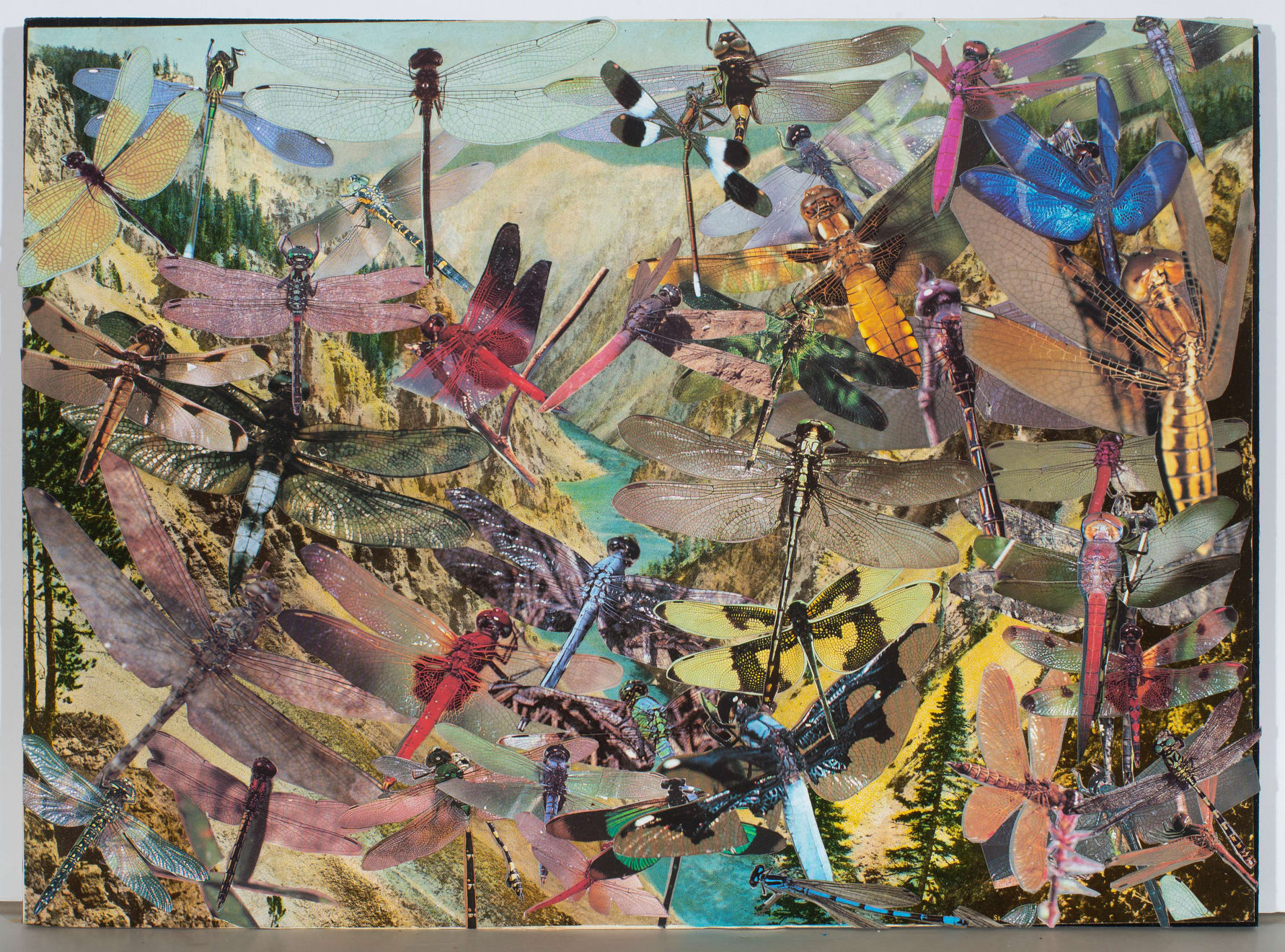 Lance Letscher, Red Dragonfly, 2023