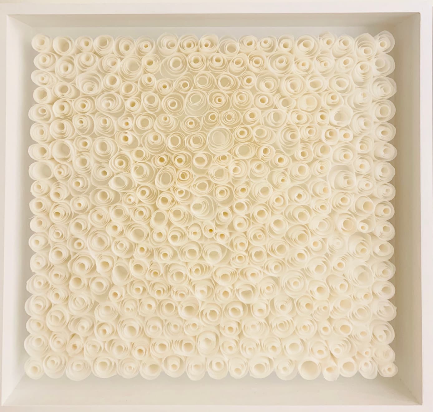 Rakuko Naito, RN118-1/2-3-1/2-'18 - Soft Rolls, 2018