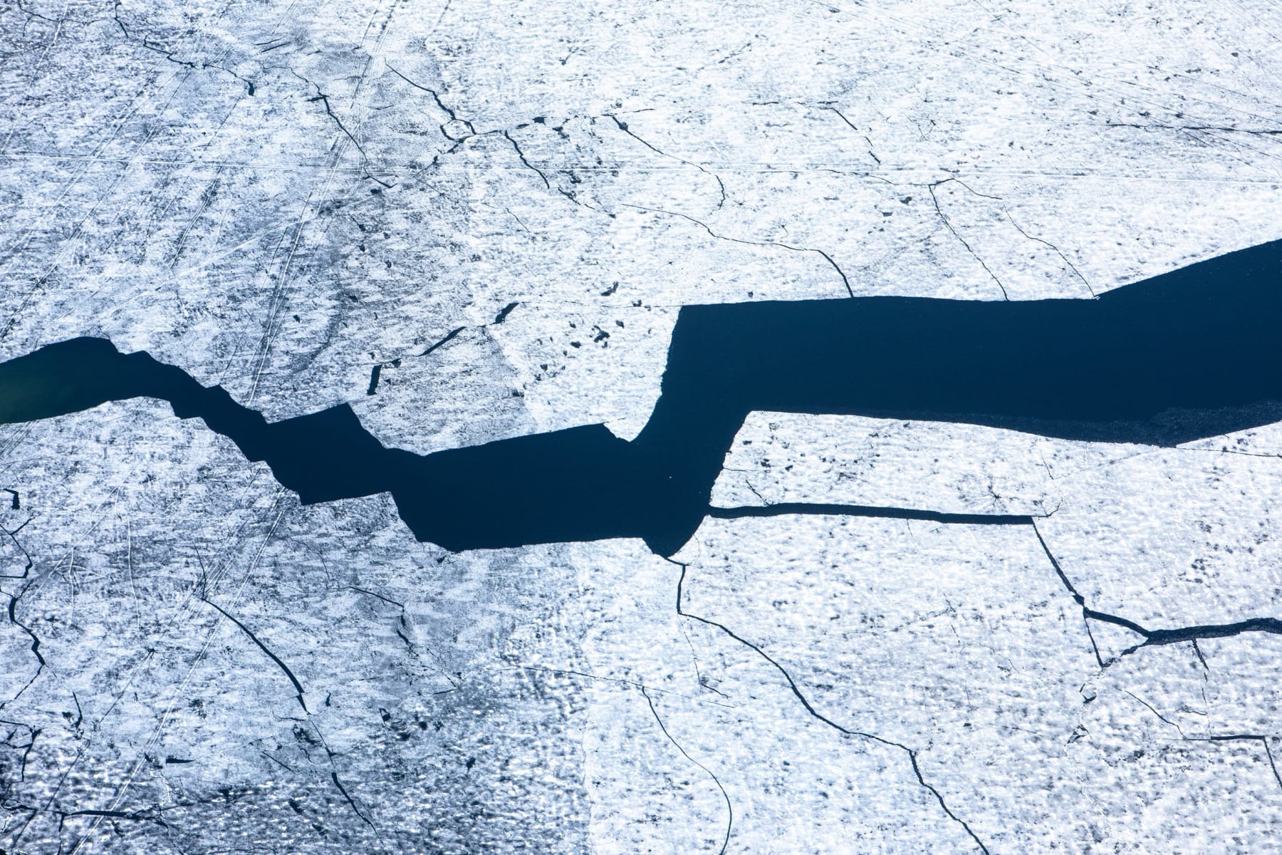 Tuck Fauntleroy, Elements Spring I, 2023-2024