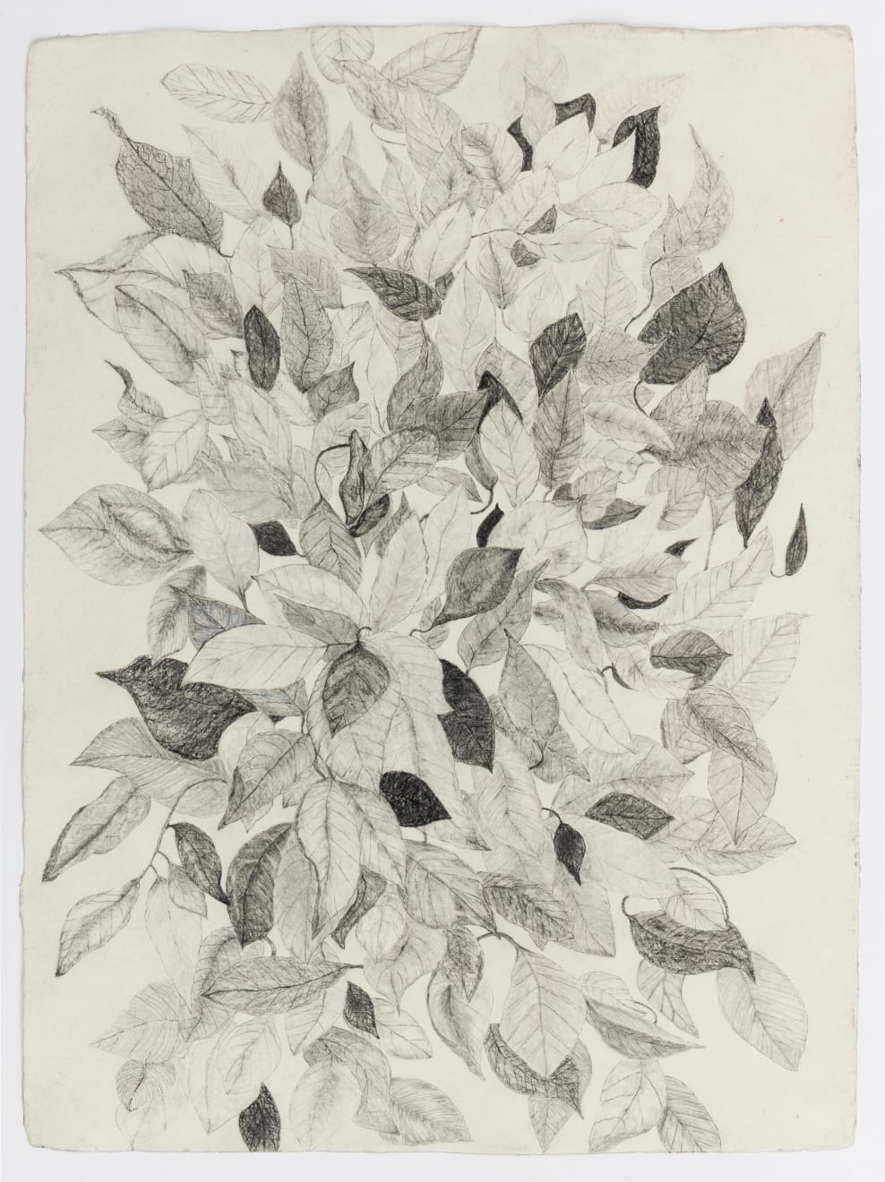 Fiona Waterstreet, Untitled, 2025