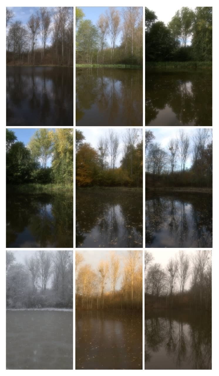 Jeffrey Blondes, Etang de Pezières III : 52 Hour Film, ed. 7/7, 2015
