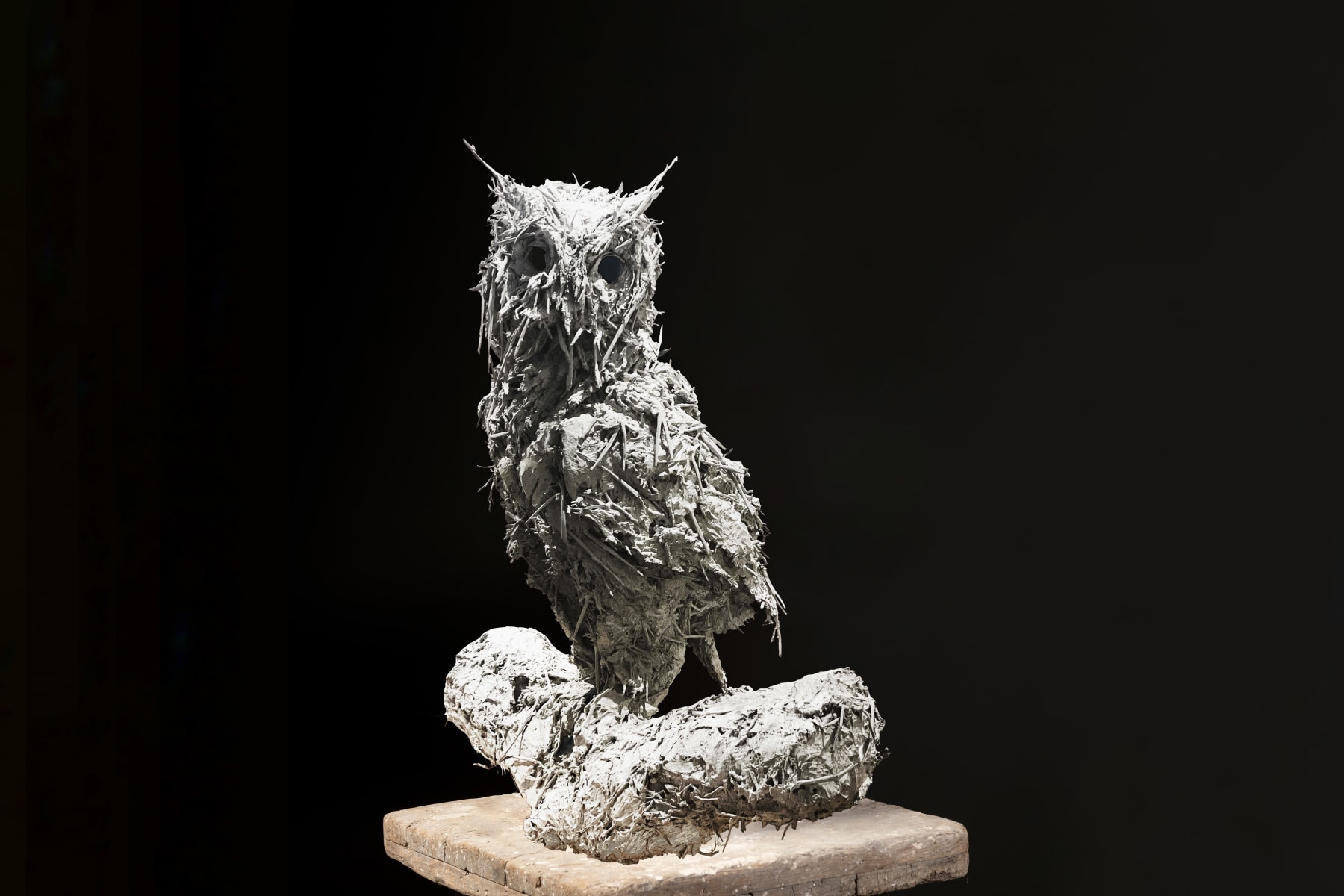 Nicola Hicks, Owl, 2022