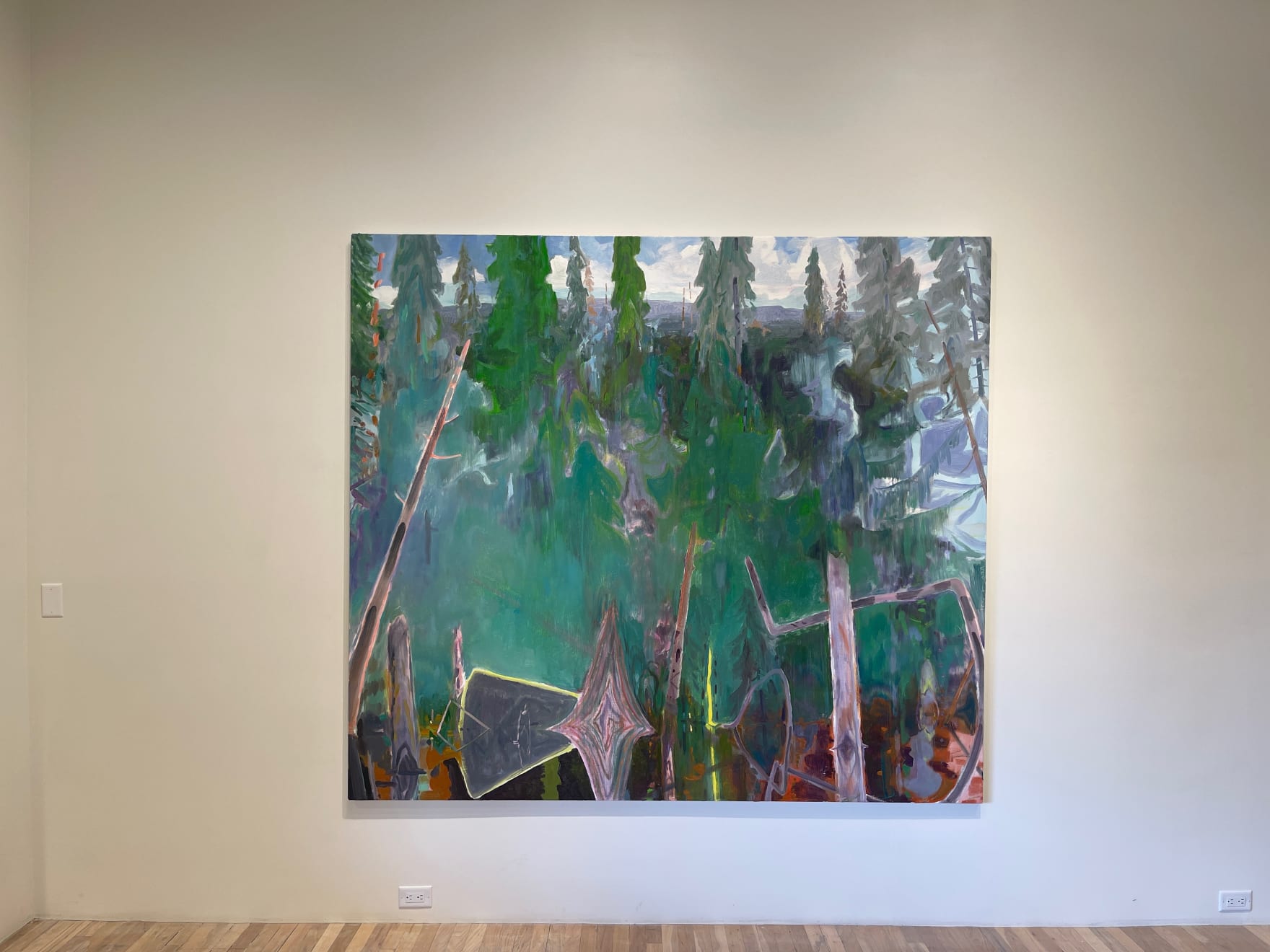 Eric Aho, Vernal Pool, Green Forest, (Oxford County), 2022