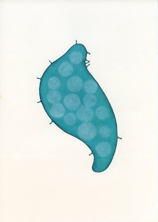 Astrid Köppe, Untitled (Z24_094), 2024