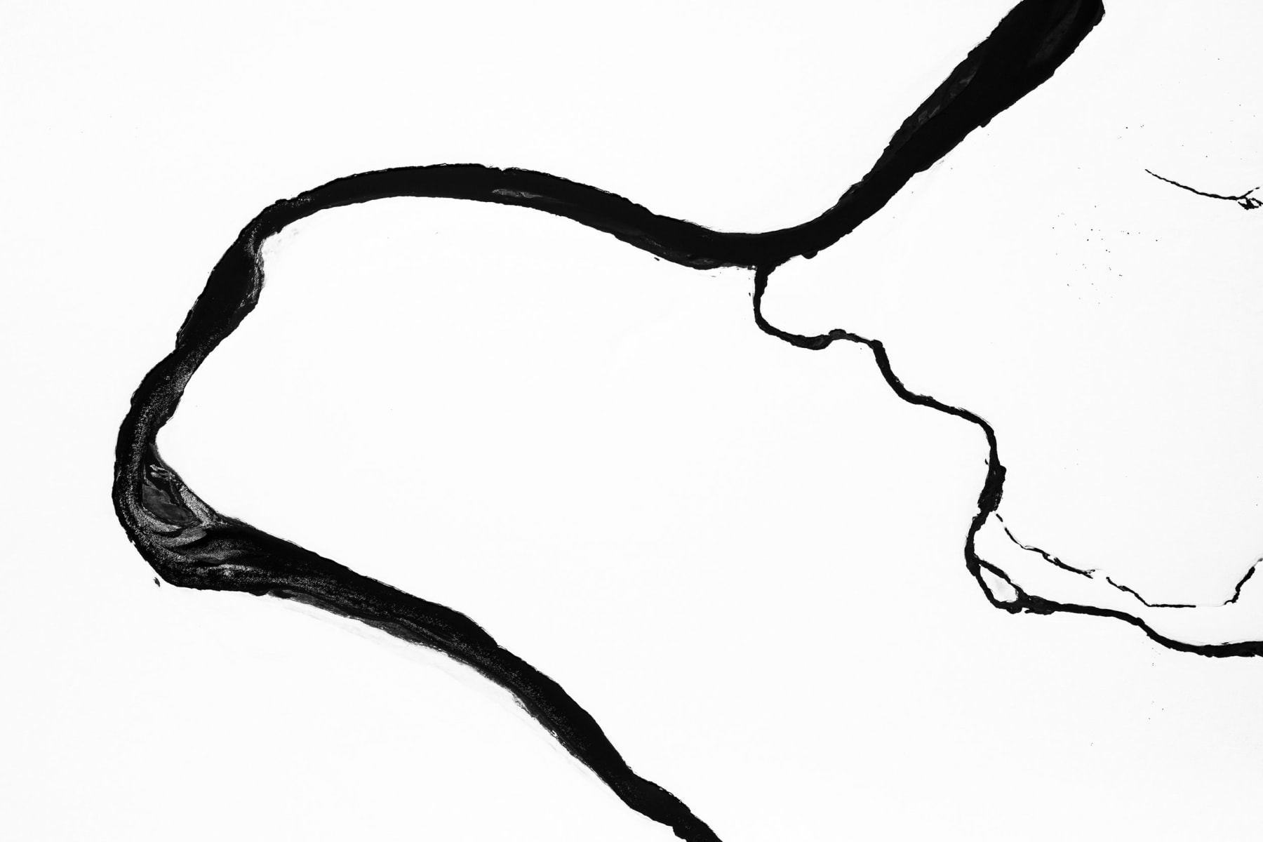 Tuck Fauntleroy, Confluence IV, 2024