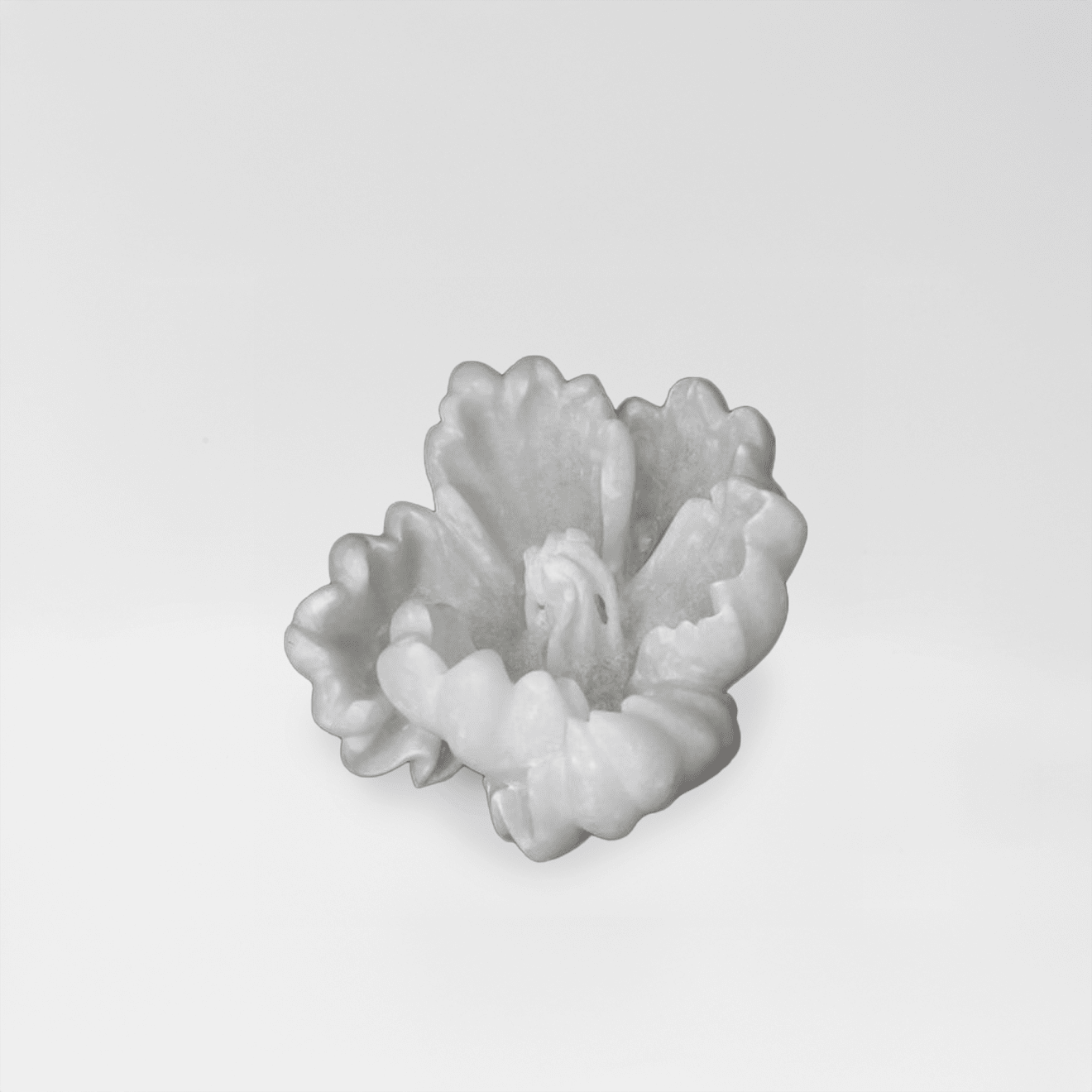 BibiMichèle, Tulipa, 2023