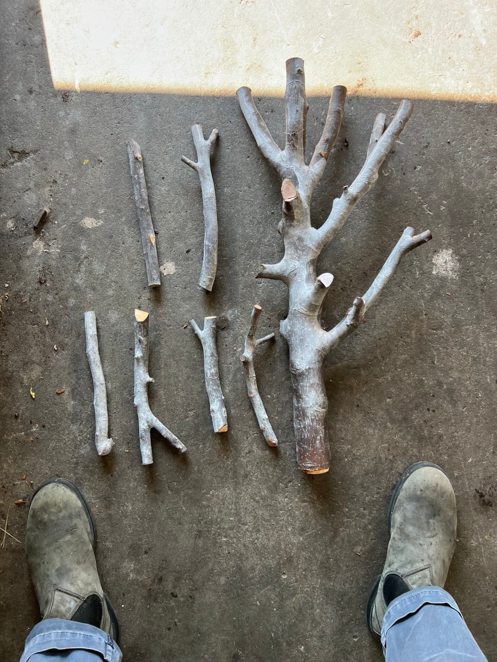 Jonah Meyer, Death, 2022