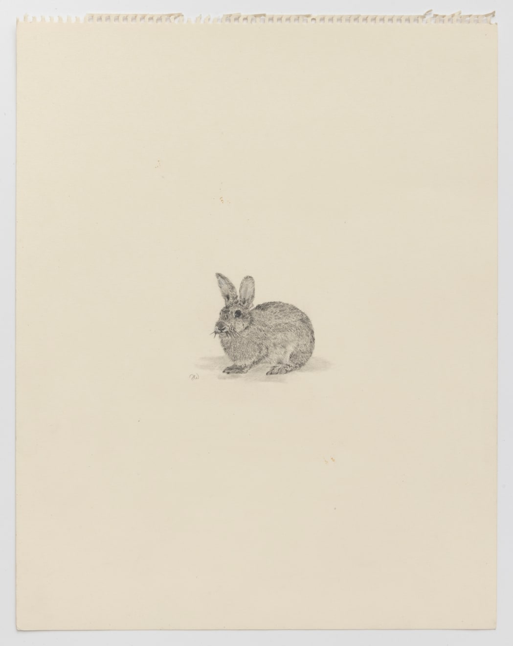 Fiona Waterstreet, Untitled