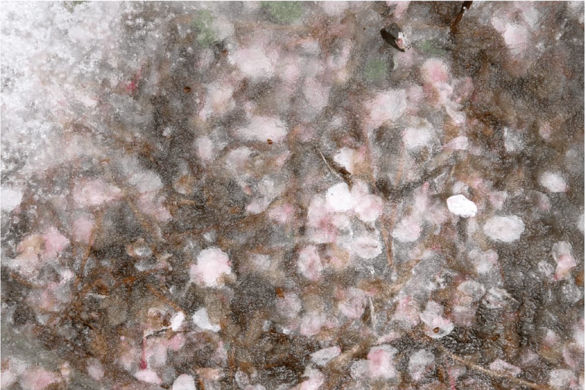 Tomohiro Muda, Mizu 26, edition 3/25, 2012